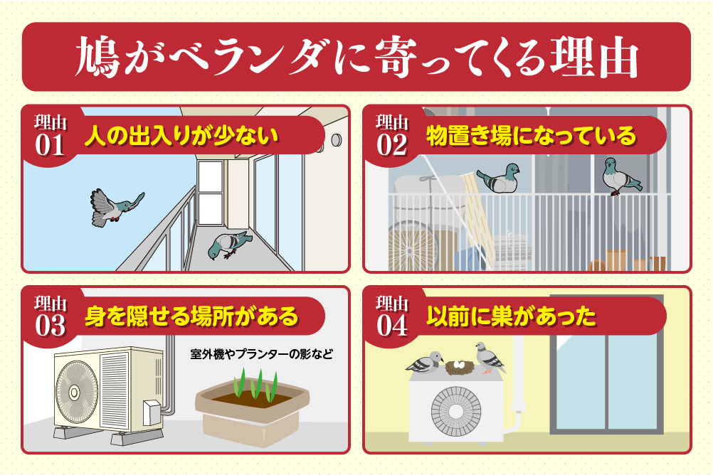 なぜ鳩はベランダに寄ってくるの？