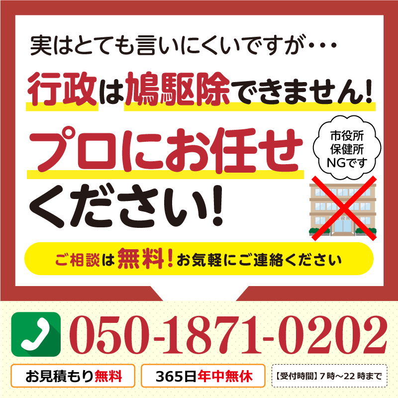 行政は鳩駆除できません！プロにお任せください。