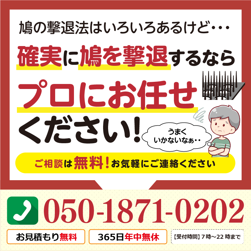 鳩の撃退法はいろいろあるけれど、確実に鳩を撃退するならプロにお任せください
