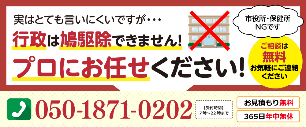 行政は鳩駆除できません！プロにお任せください。