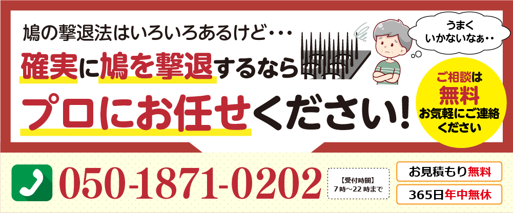 鳩の撃退法はいろいろあるけれど、確実に鳩を撃退するならプロにお任せください