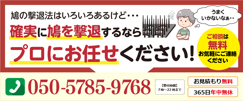 鳩の撃退法はいろいろあるけれど、確実に鳩を撃退するならプロにお任せください