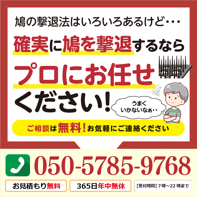 鳩の撃退法はいろいろあるけれど、確実に鳩を撃退するならプロにお任せください