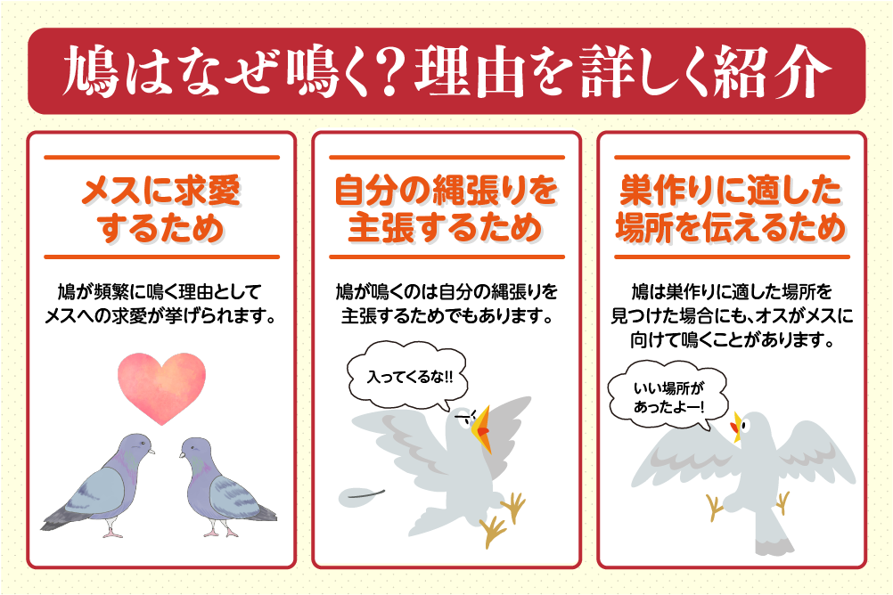 鳩はなぜ鳴く？理由を詳しく紹介