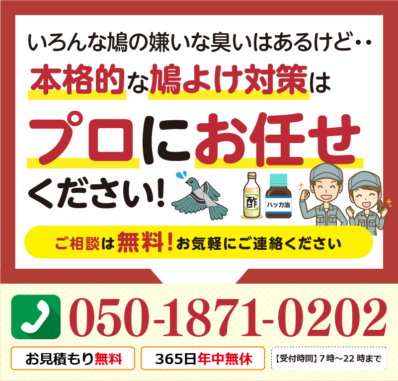 いろんな鳩の嫌いな匂いはあるけど、本格的な歯と避け対策は、プロにお任せ