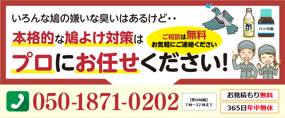 いろんな鳩の嫌いな匂いはあるけど、本格的な歯と避け対策は、プロにお任せ