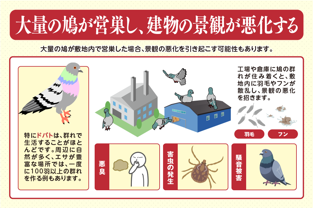 大量の鳩が営巣し、建物の景観が悪化する