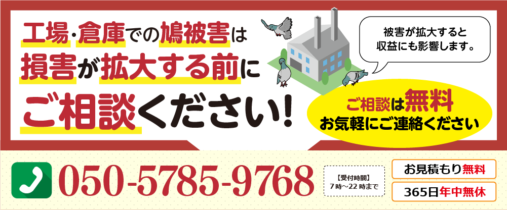 🏭・倉庫での鳩被害は損害が拡大する前にご相談ください