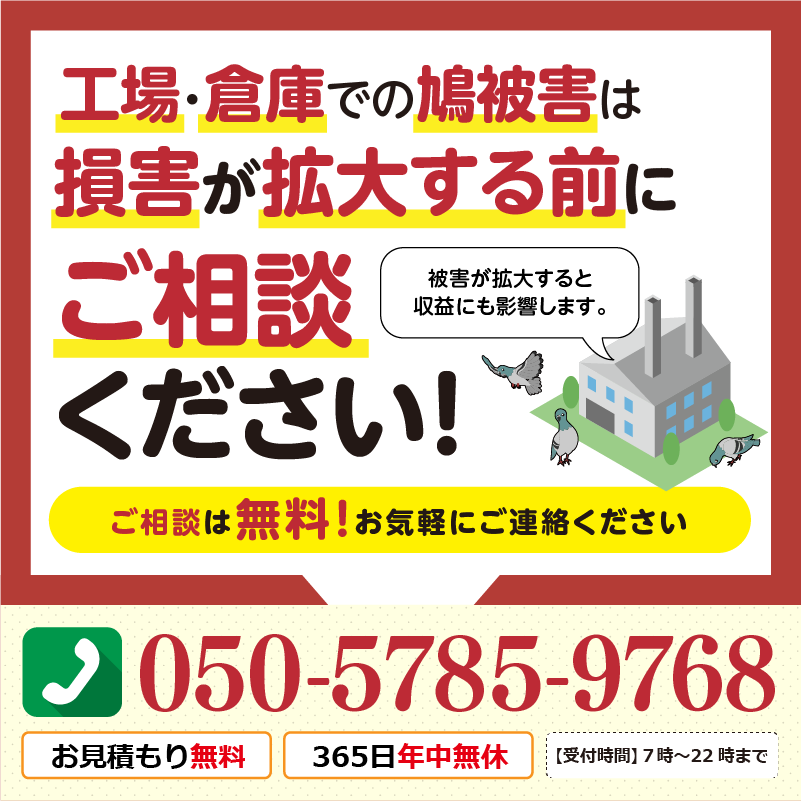 🏭・倉庫での鳩被害は損害が拡大する前にご相談ください