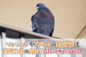 マンションやアパートの鳩対策は管理会社の責任？責任の所在を紹介
